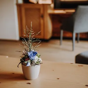 Alpe Dornach Hotel